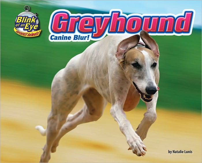 Greyhound: Canine Blur!