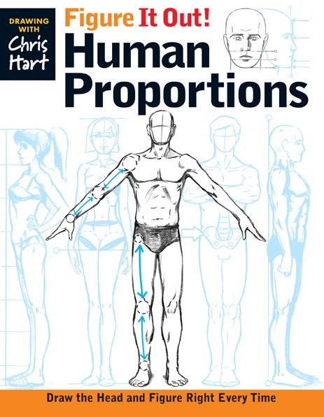 Figure It Out! Human Proportio