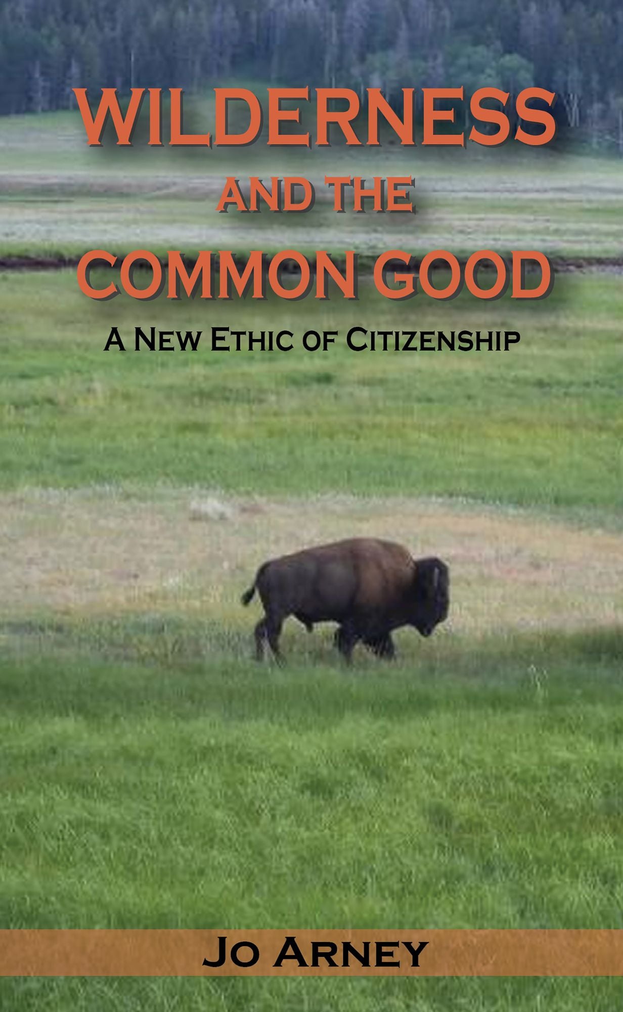 Wilderness and the Common Good: A New Ethic of Citizenship