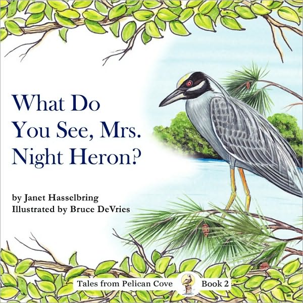 What Do You See, Mrs. Night Heron?