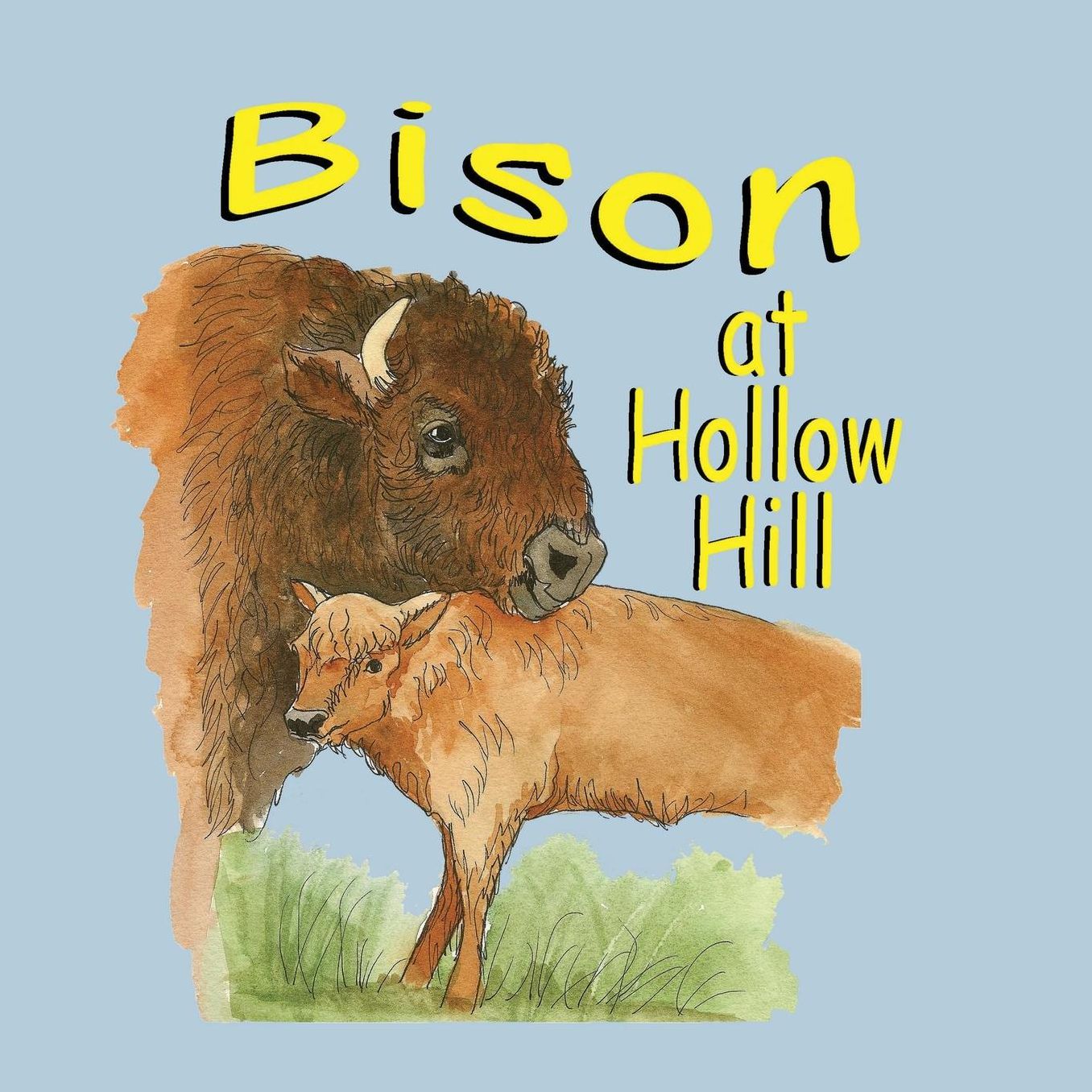 Bison At Hollow Hill