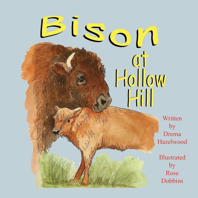 Bison At Hollow Hill