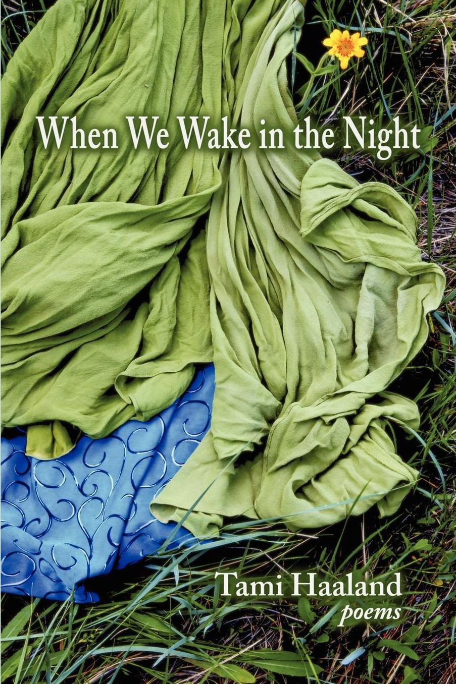 When We Wake In The Night