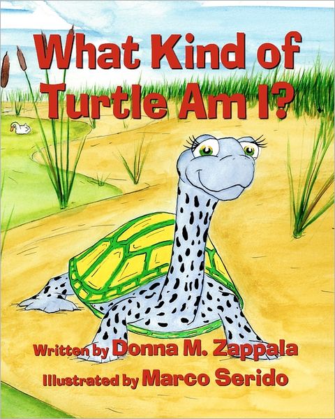 What Kind of Turtle Am I?