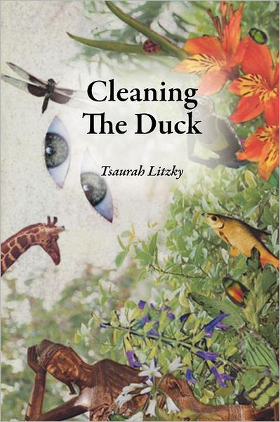 Cleaning The Duck