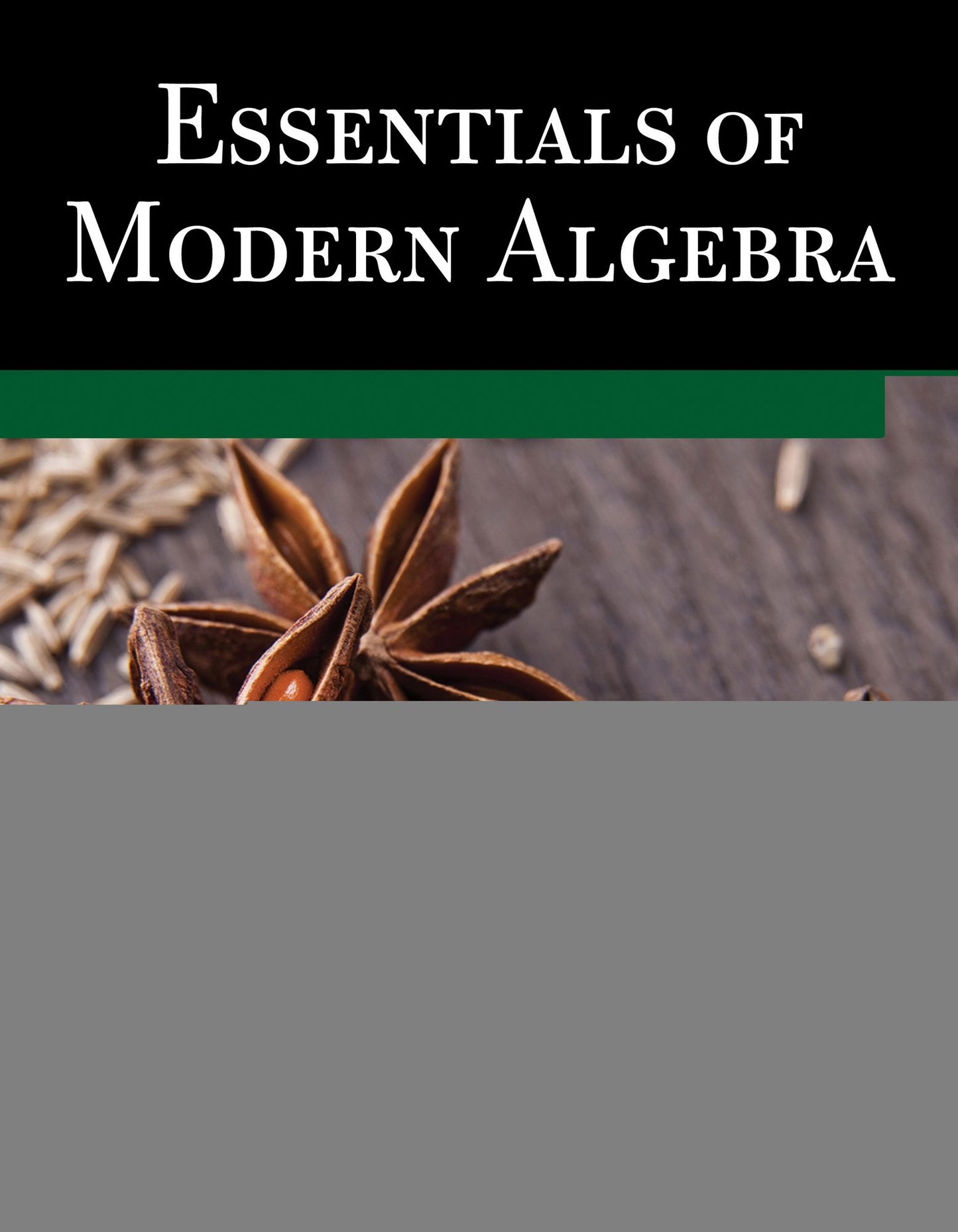 Essentials of Modern Algebra