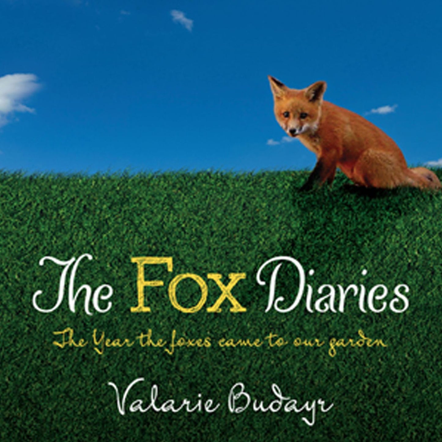 The Fox Diaries: The Year the Foxes Came to Our Garden