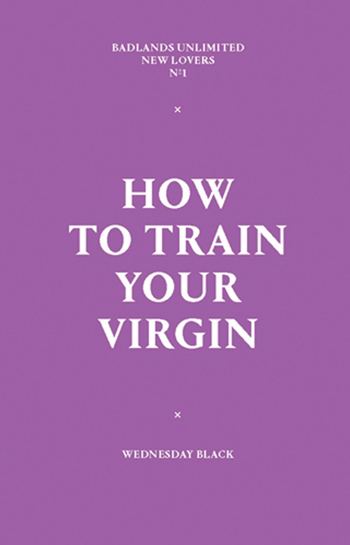 How to Train Your Virgin: New Lovers Series #1