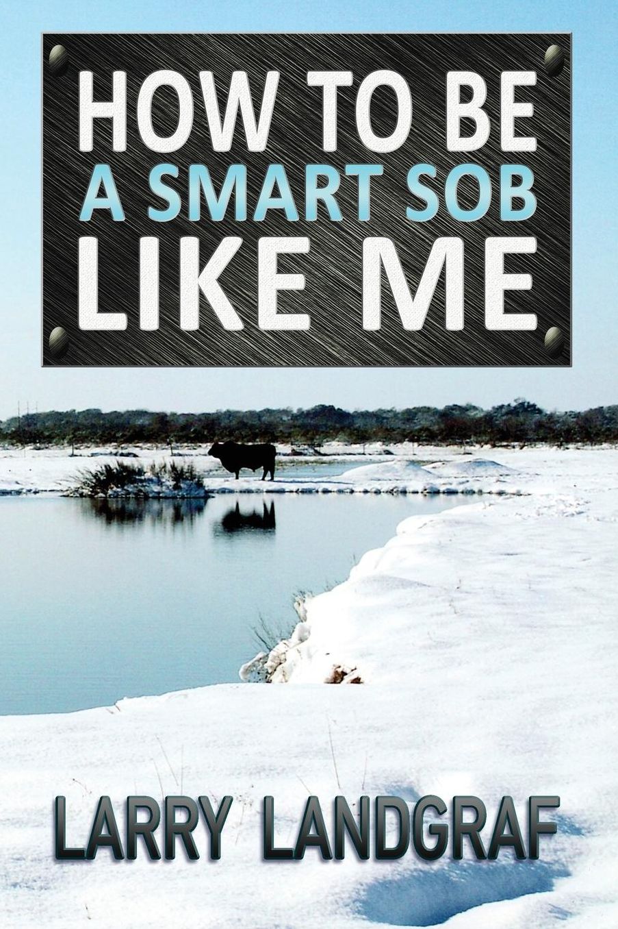 How to Be a Smart SOB Like Me