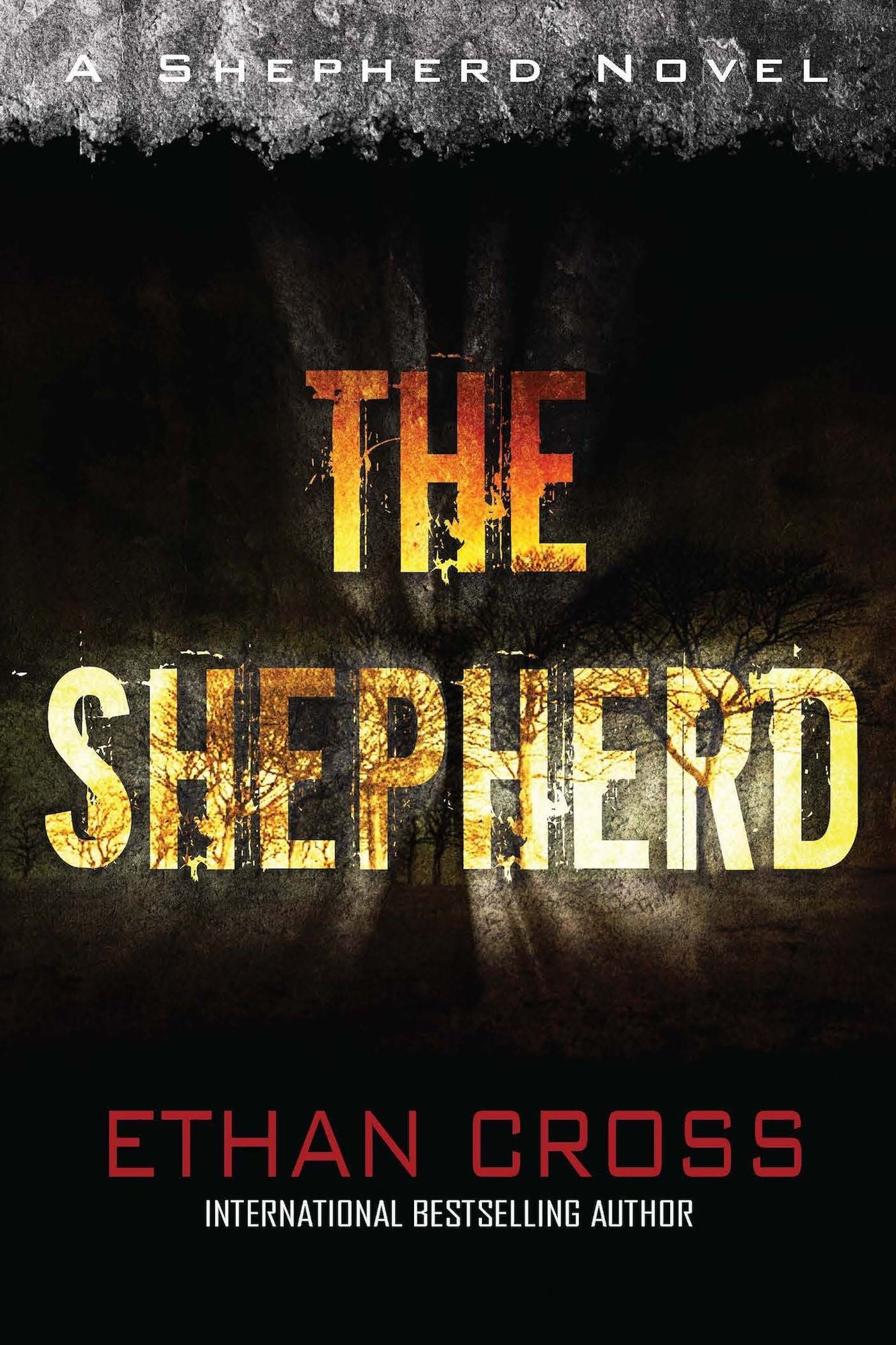 The Shepherd (Shepherd Series #1)