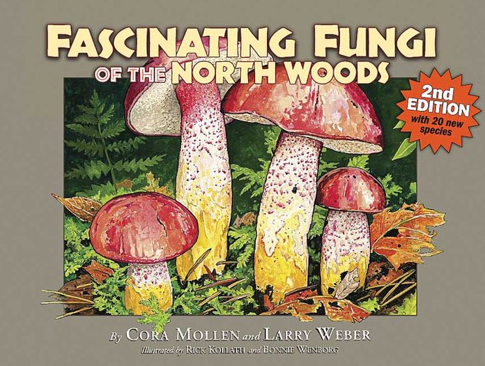 Fascinating Fungi of the North Woods, Second Edition