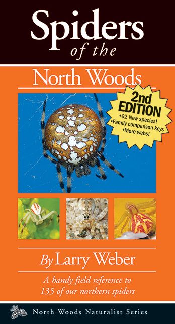 Spiders of the North Woods
