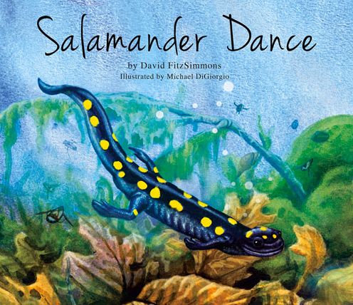 Salamander Dance