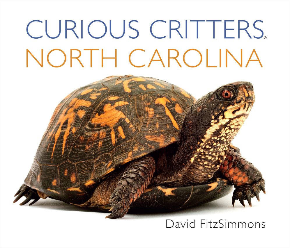 Curious Critters North Carolina