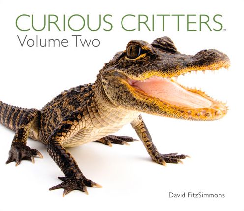 Curious Critters Volume Two