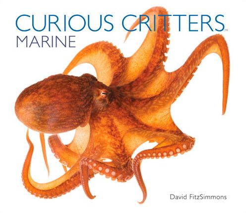Curious Critters Marine