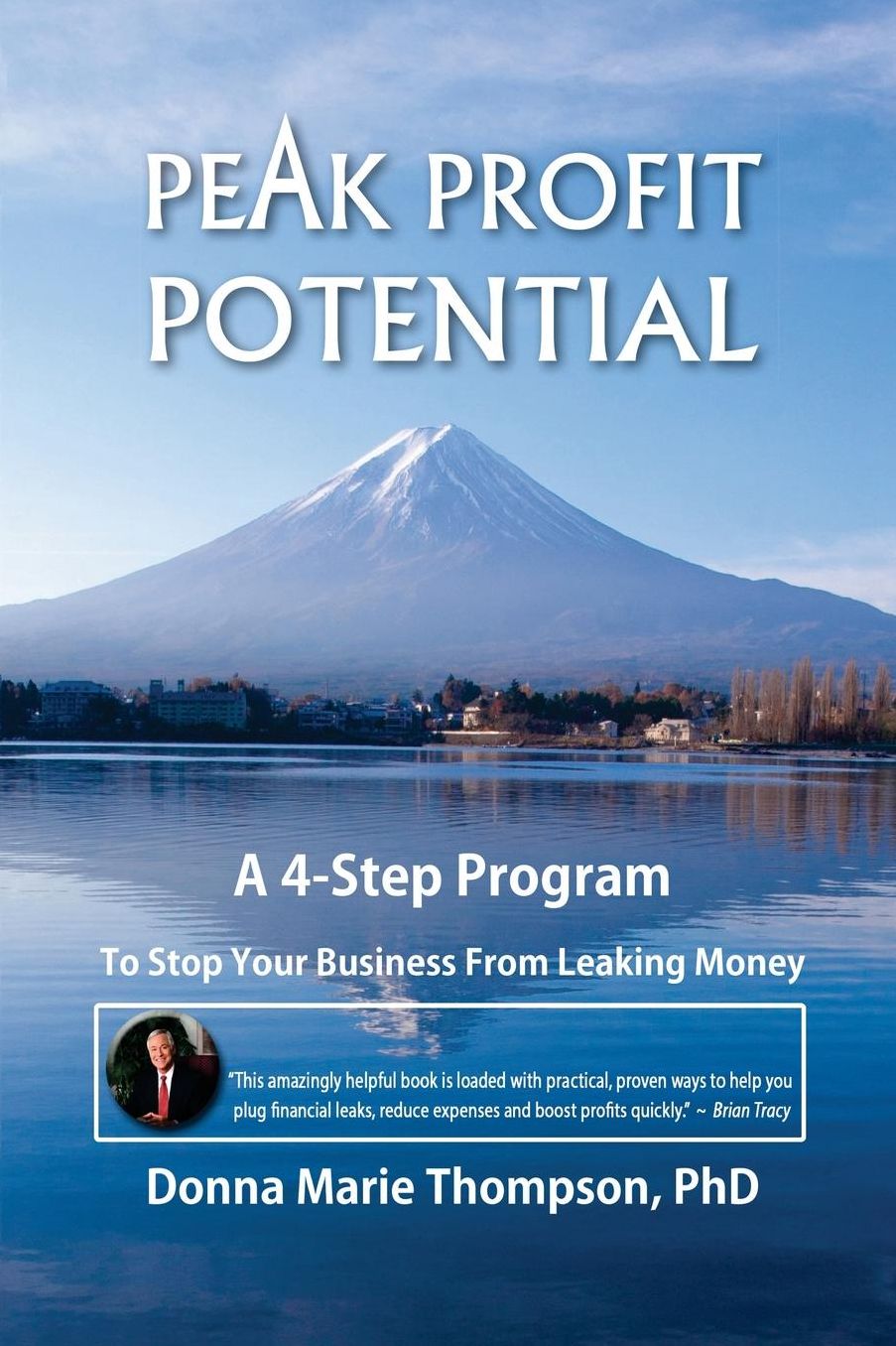 Peak Profit Potential: A 4-Step Program to Stop Your Business From Leaking Money