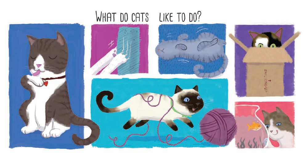 Cats!