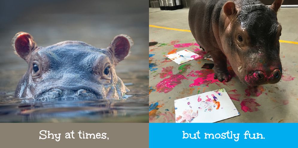 Fiona's Feelings