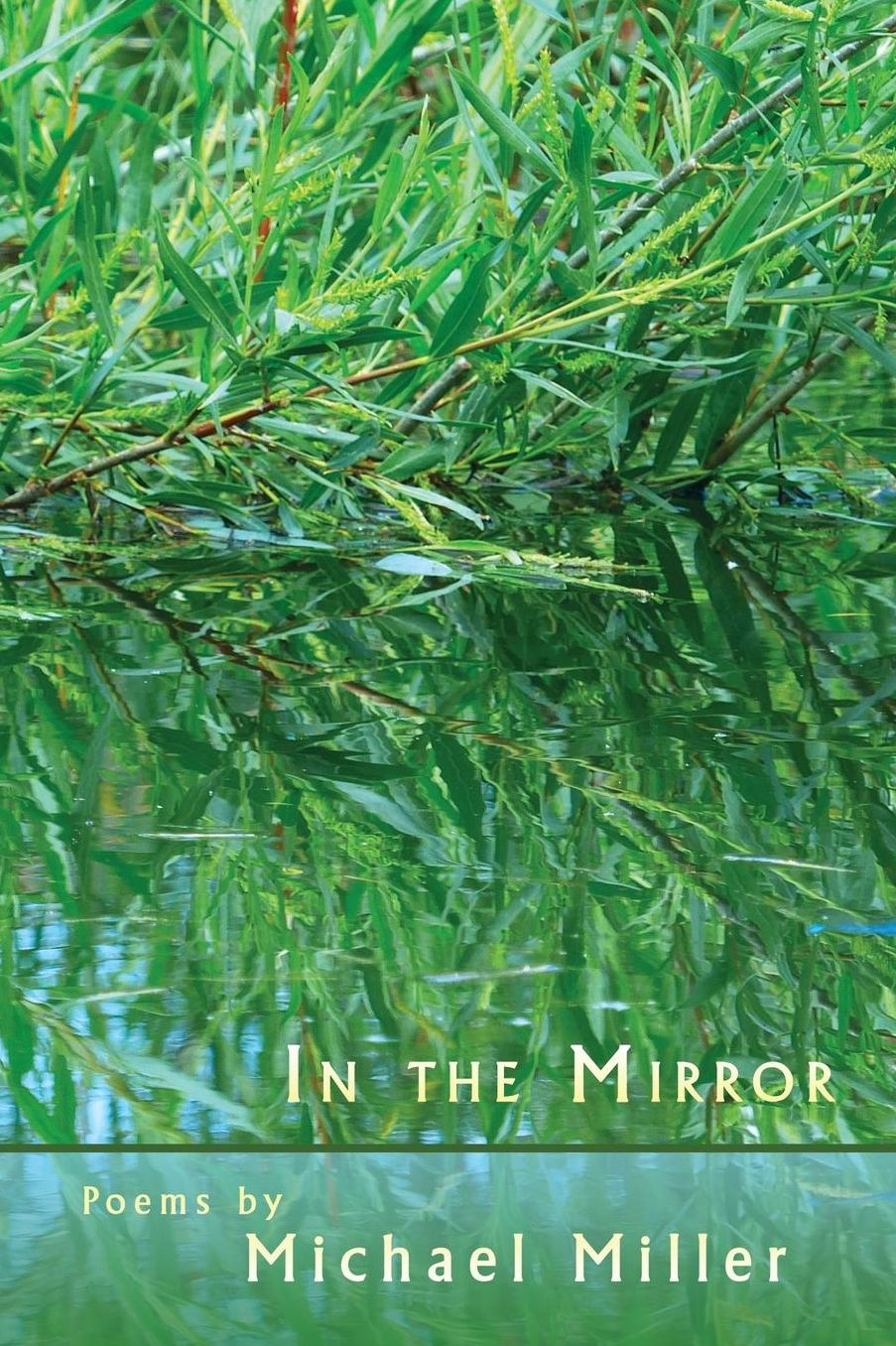 In the Mirror