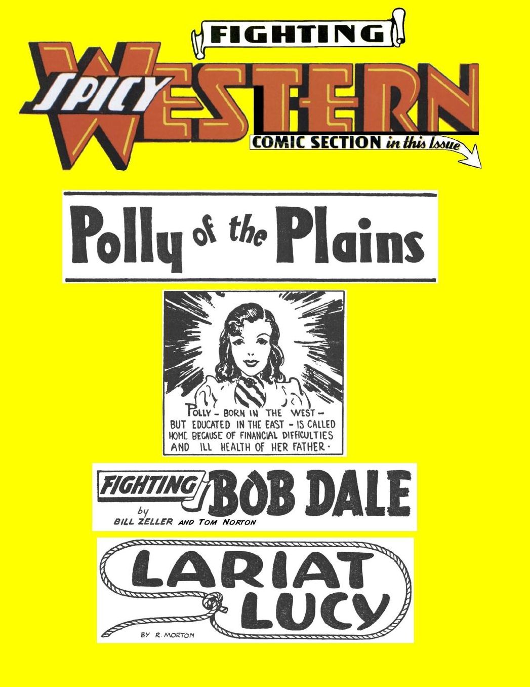 Fighting Spicy Western