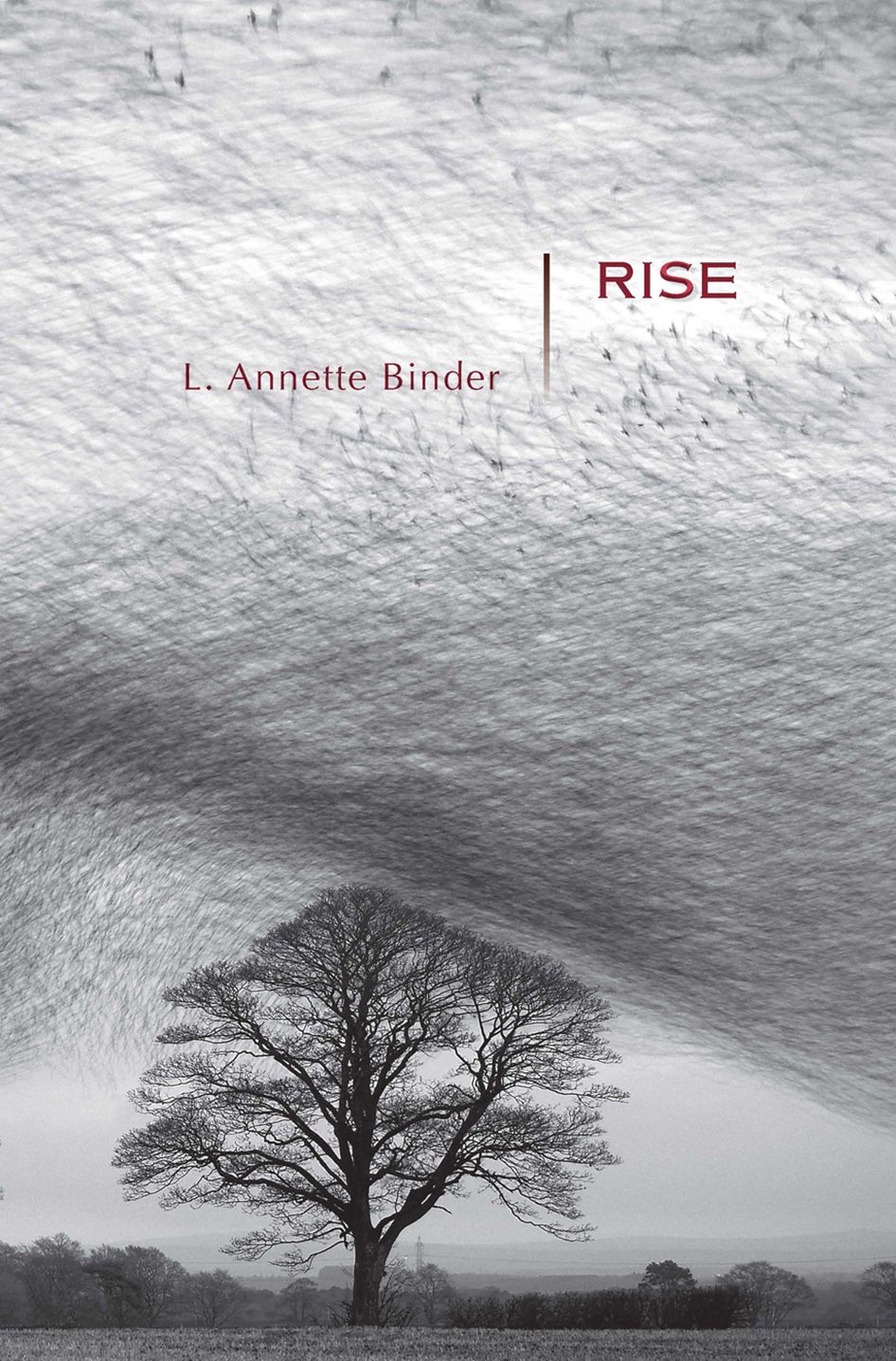 Rise