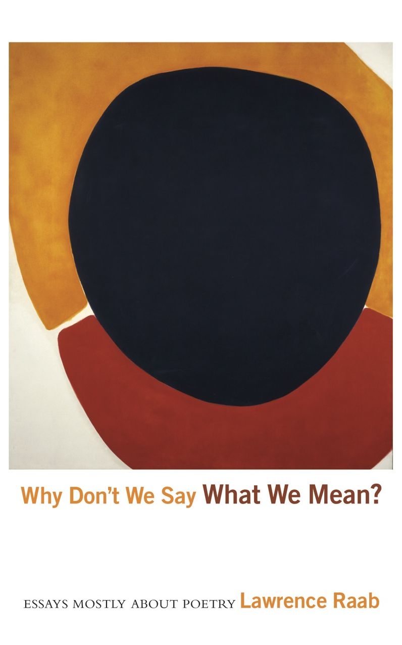 Why Don't We Say What We Mean?: Essays Mostly About Poetry