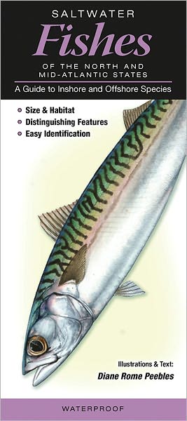 Saltwater Fishes of the Northern and Mid-Atlantic States: A Guide to Inshore and Offshore Species
