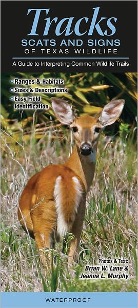 Tracks, Scats and Signs of Florida Wildlife: A Guide to Interpreting Common Wildlife Trails