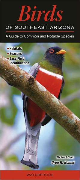 Birds of Southeast Arizona: A Guide to Common and Notable Species