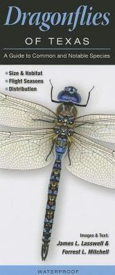 Dragonflies of Texas: A Guide to Common and Notable Species