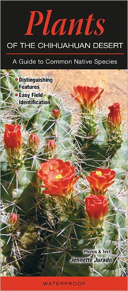 Plants of the Chuhuahuan Desert: A Guide to Native Species