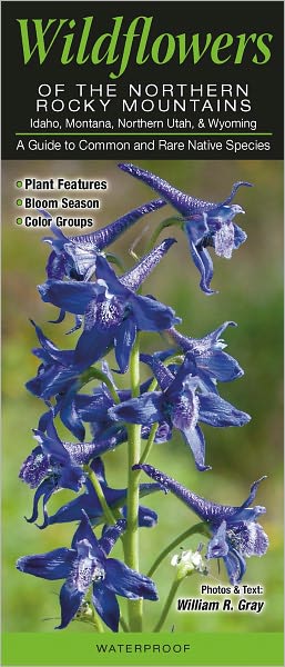 Wildflowers of the Northern Rocky Mountains: A Guide to Common and Notable Species