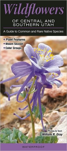 Wildflowers of Central and Southern Utah: A Guide to Common and Rare Native Species