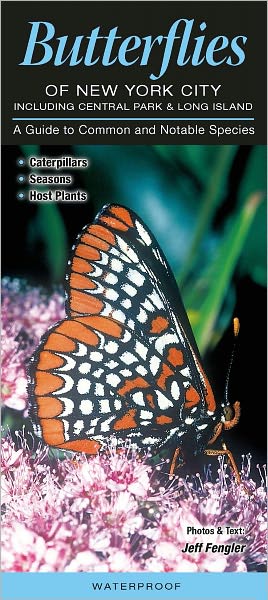Butterflies of New York City, including Central Park and Long Island: A Guide to Common and Notable Species