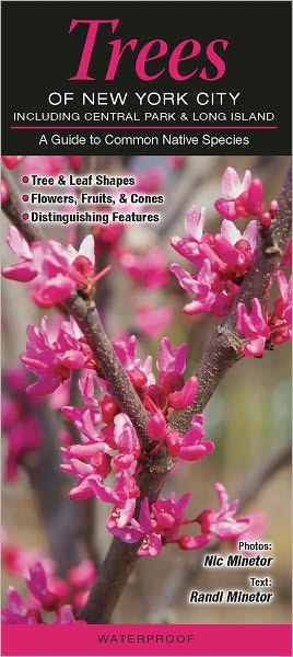 Trees of New York City, including Central Park and Long Island: A Guide to Common and Notable Species