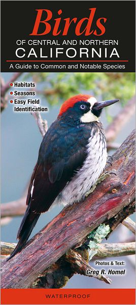 Birds of Central and Northern California: A Guide to Common and Notable Species