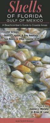 Shells of Florida/Gulf of Mexico: A Beachcomber's Guide to Coastal Areas