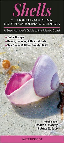 Shells of North Carolina, South Carolina and Georgia: A Beachcomber's Guide to the Atlantic Coast