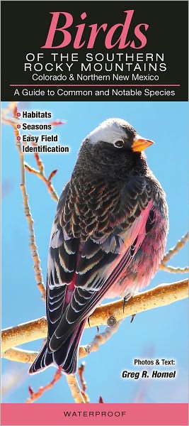 Birds of the Southern Rocky Mountains: A Guide to Common and Notable Species