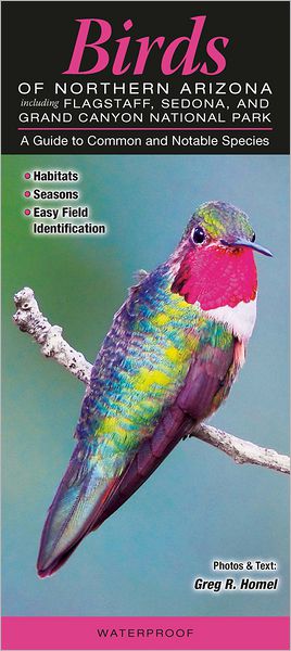 Birds of Northern Arizona Including Grand Canyon National Park, Flagstaff and Sedona: A Guide to Common and Notable Species