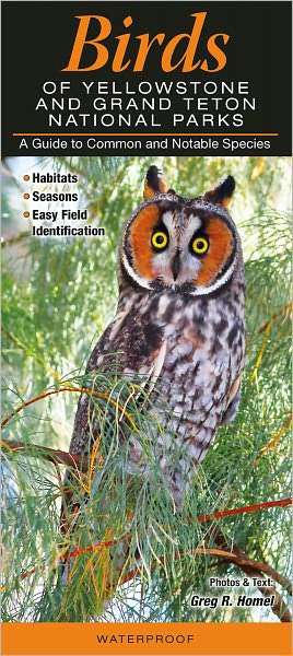 Birds of Yellowstone and Grand Teton National Parks: A Guide to Common and Not