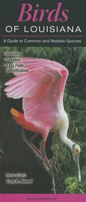 Birds of Louisiana: A Guide to Common and Notable Species