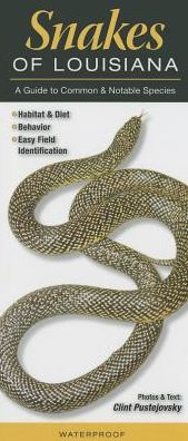 Snakes of Louisiana: A Guide to Common and Notable Species