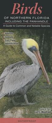 Birds of North Florida Including the Panhandle: A Guide to Common and Notable Species