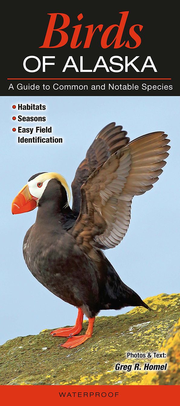 Birds of Alaska: A Guide to Common and Notable Species