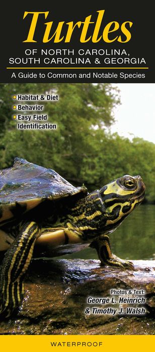 Turtles of North Carolina, South Carolina and Georgia: A Guide to Common and Notable Species