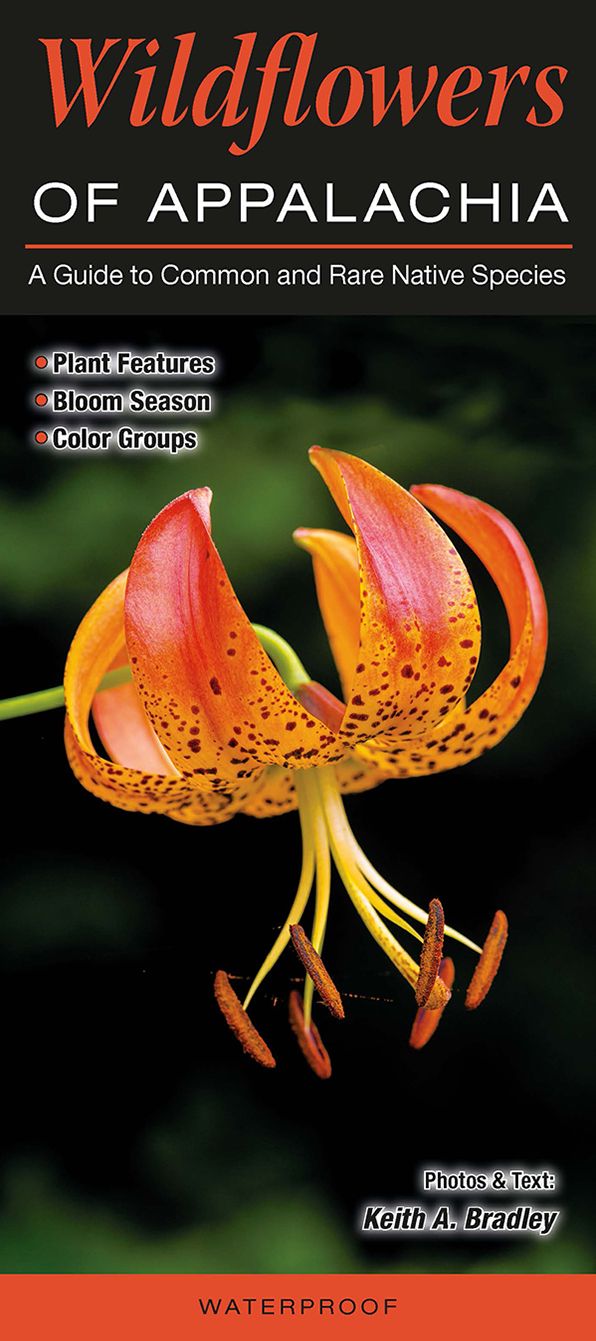 Wildflowers of Appalachia: A Guide to Common and Notable Species