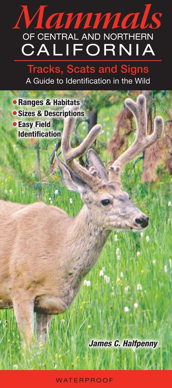 Tracks, Scats and Signs of Central and Northern California: A Guide to Identification in the Wild