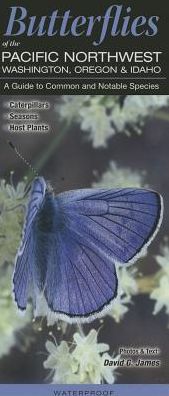Butterflies of the Pacific Northwest: A Guide to Common and Notable Species